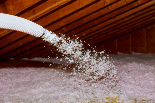 Best Eco-Friendly Insulation in Mount Pleasant, NC